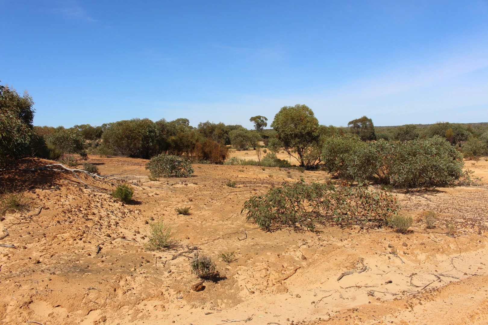 Additional image 6 of S22 Tori Hills Road, Sandalwood SA 5309