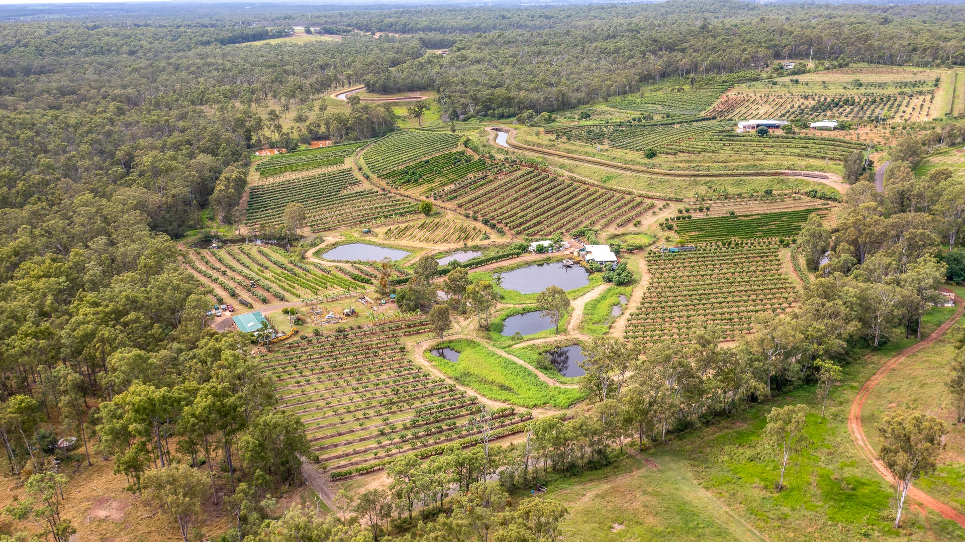 Additional image 19 of 86 Simpsons Road, Bullyard QLD 4671