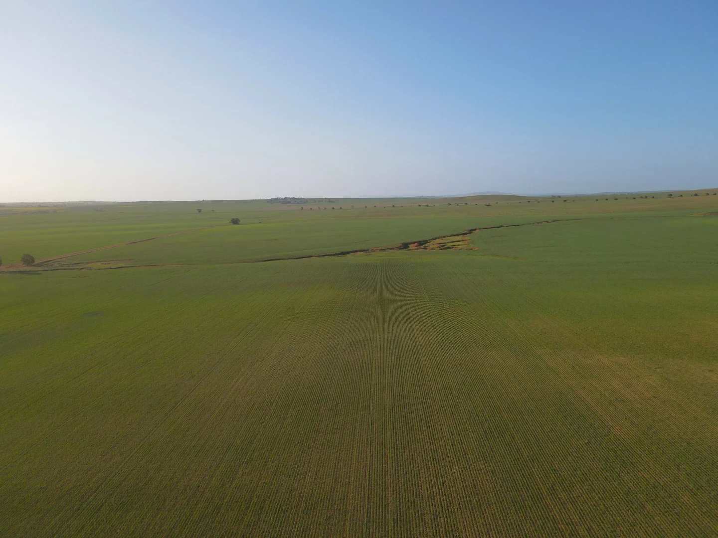 Additional image 16 of 222 Nicholls Rd, Booleroo Centre SA 5482