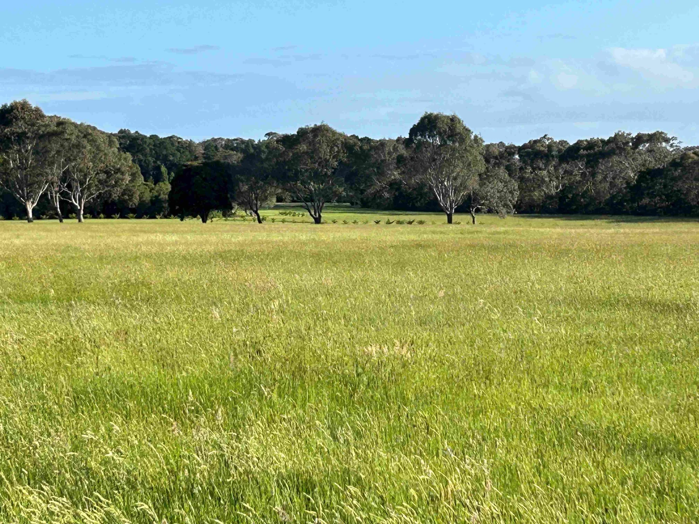 Additional image 31 of 112 Sandy Point Road, Balnarring VIC 3926