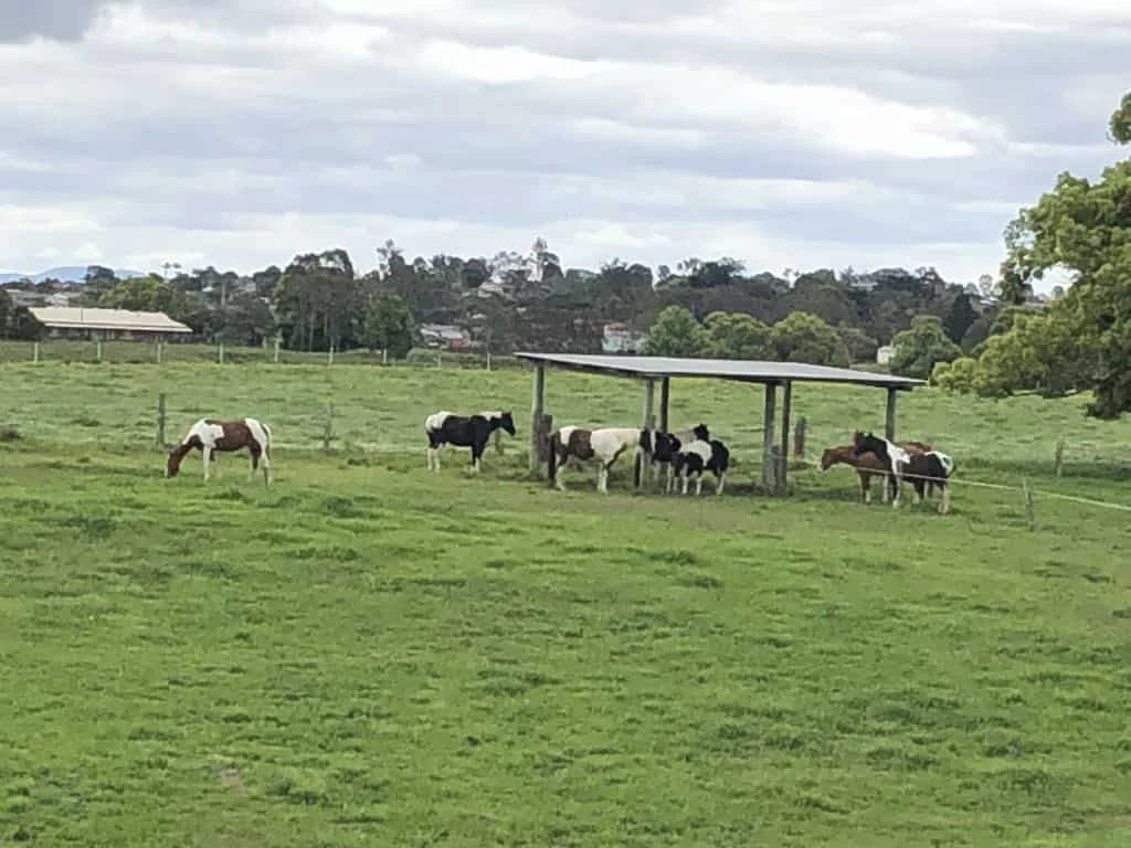 Additional image 21 of 67 Butterfactory Lane, Grafton NSW 2460