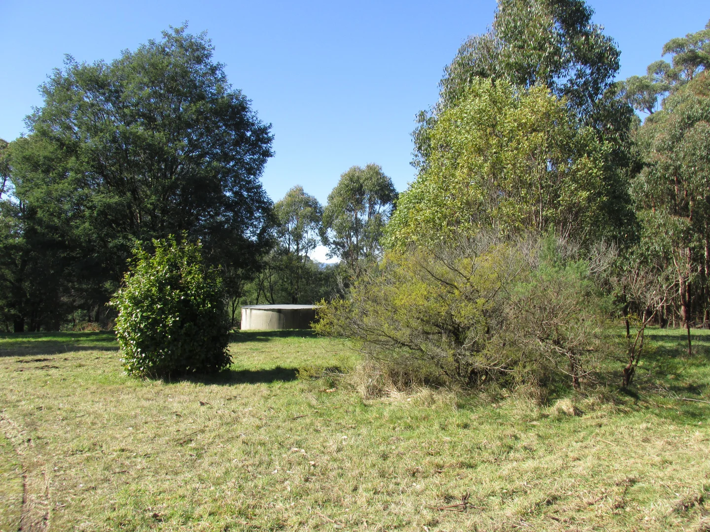 Additional image 7 of 316 Whittlesea-Kinglake Road, Kinglake Central VIC 3757