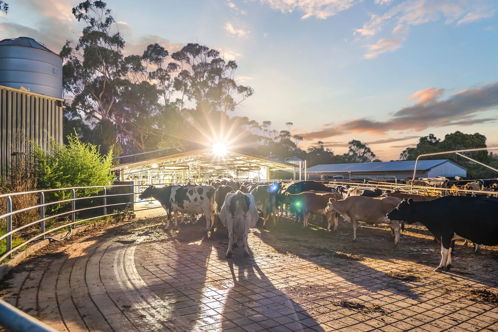 Additional image 8 of 170 Cobden Port Campbell Road, Scotts Creek VIC 3267