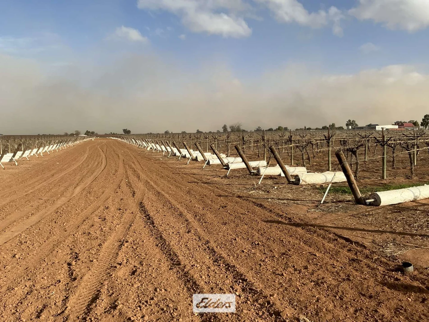 Additional image 8 of 221 & 245 Cowanna Avenue, Merbein South VIC 3505