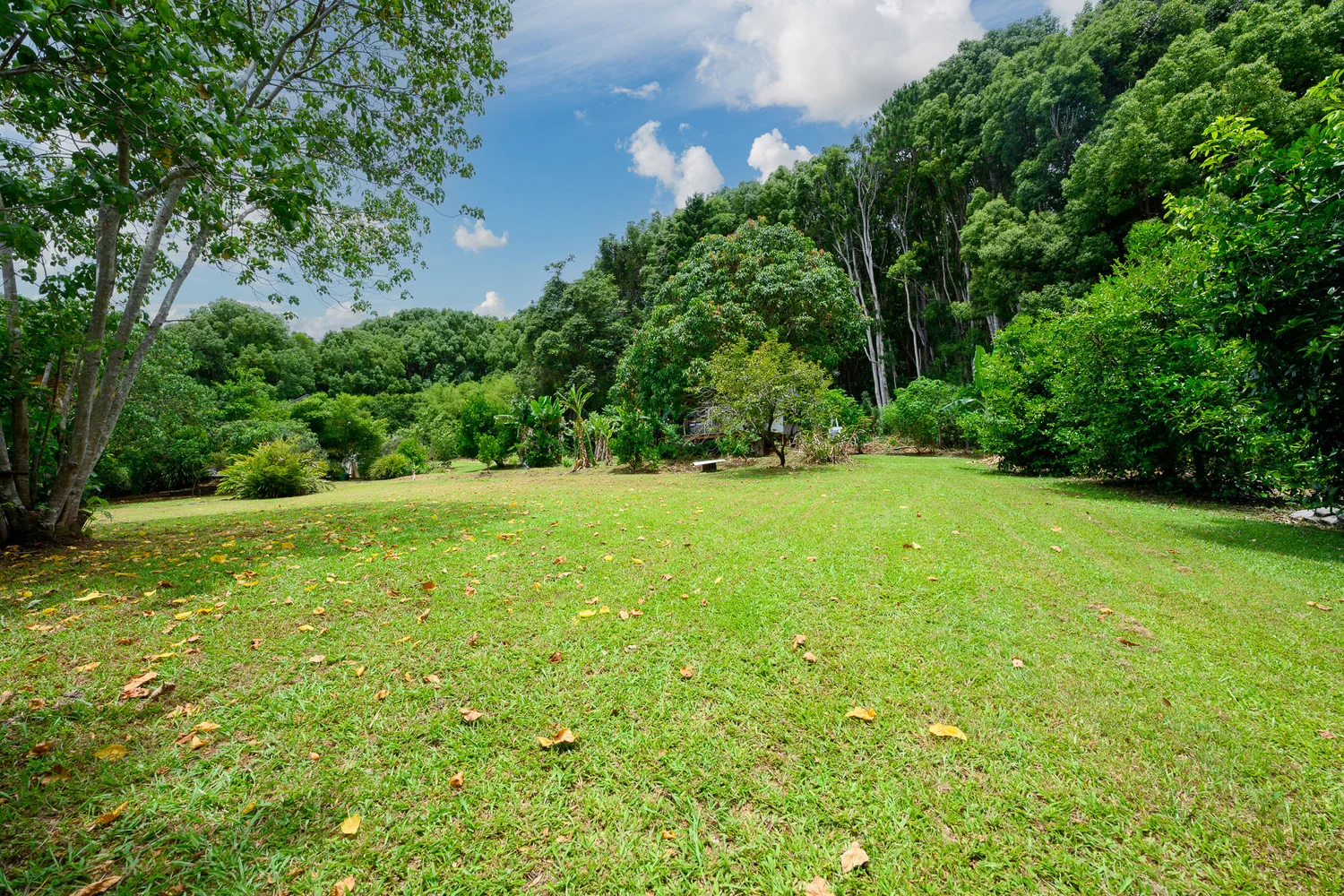 Additional image 37 of 86 Parmenters Road, Wilsons Creek NSW 2482