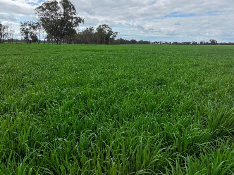 Additional image 3 of -- Brenanah-Kurting Road, Kurting VIC 3517