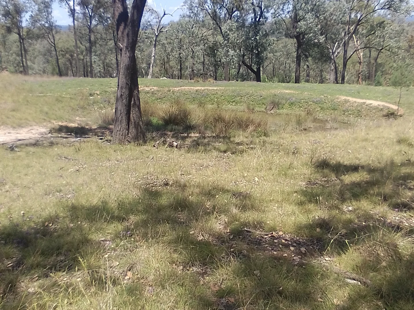 Additional image 9 of Mole River NSW 2372