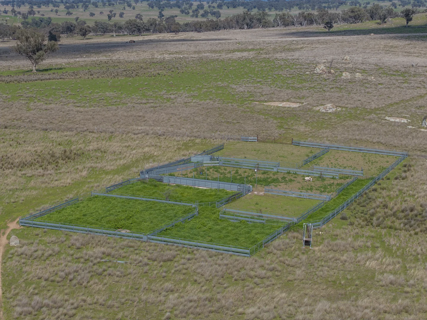 Additional image 19 of Mount Bodangora 5008 Goolma Road, Wellington NSW 2820