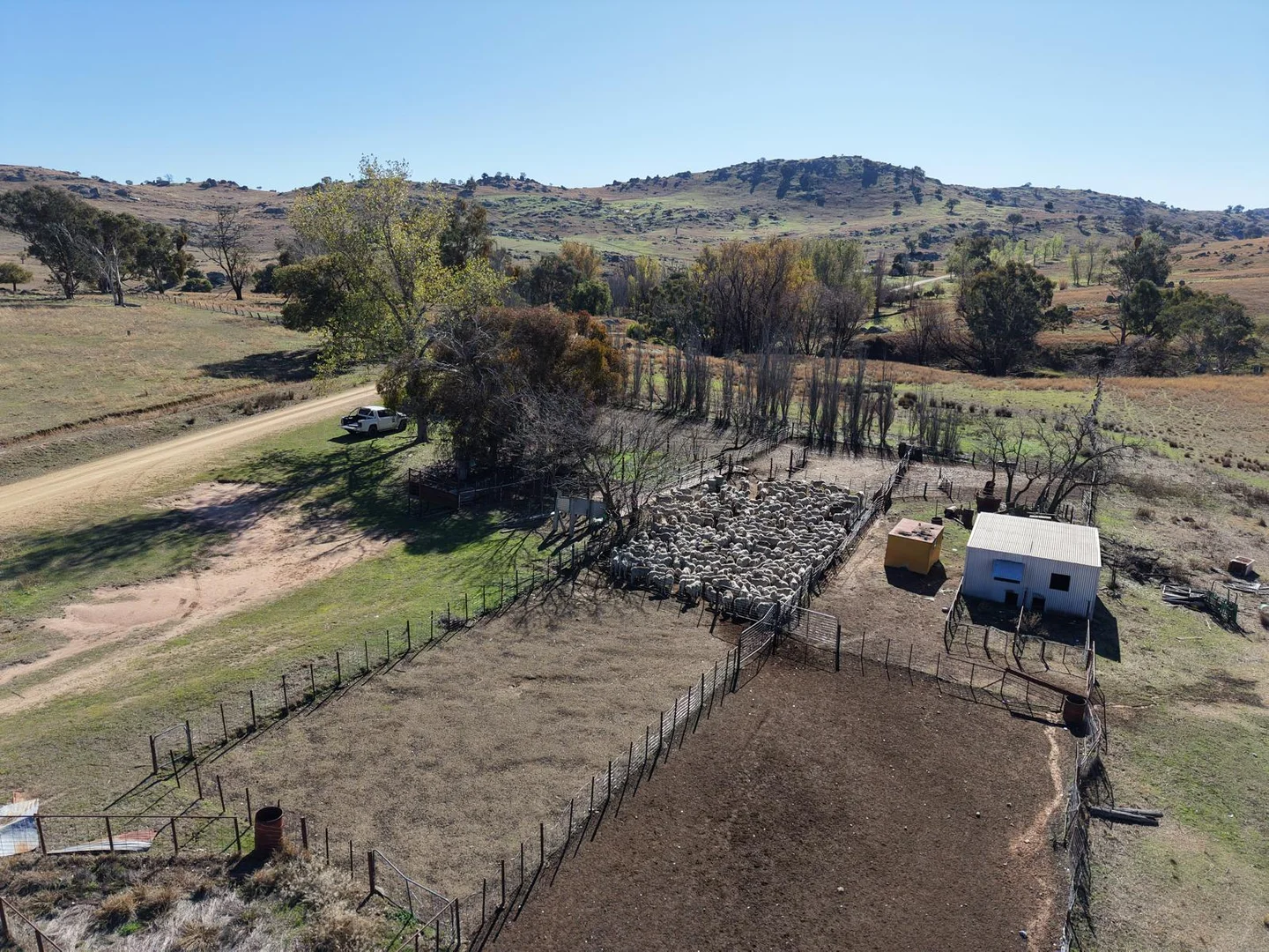 Additional image 11 of 333 Mount Darling Road, Reids Flat NSW 2586