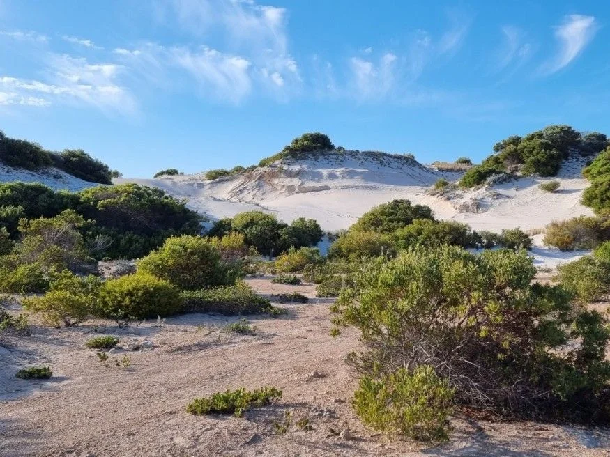Additional image 8 of Parsons Beach SA 5575