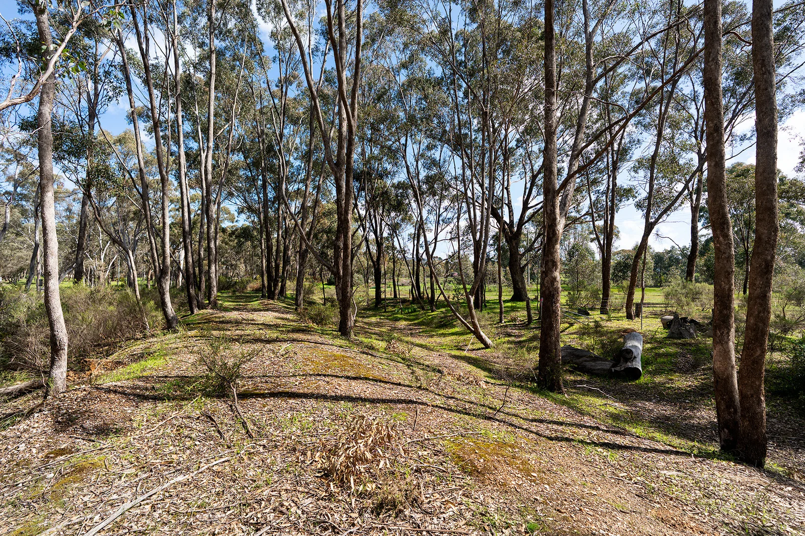 Additional image 10 of Porcupine Lane, Maldon VIC 3463