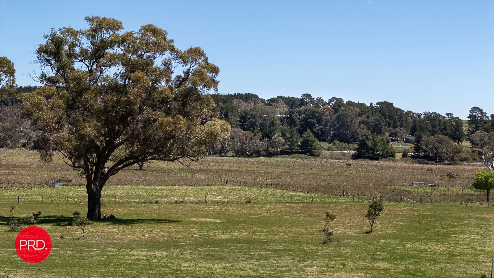 Additional image 5 of 1713 Bungendore Road, Bywong NSW 2621