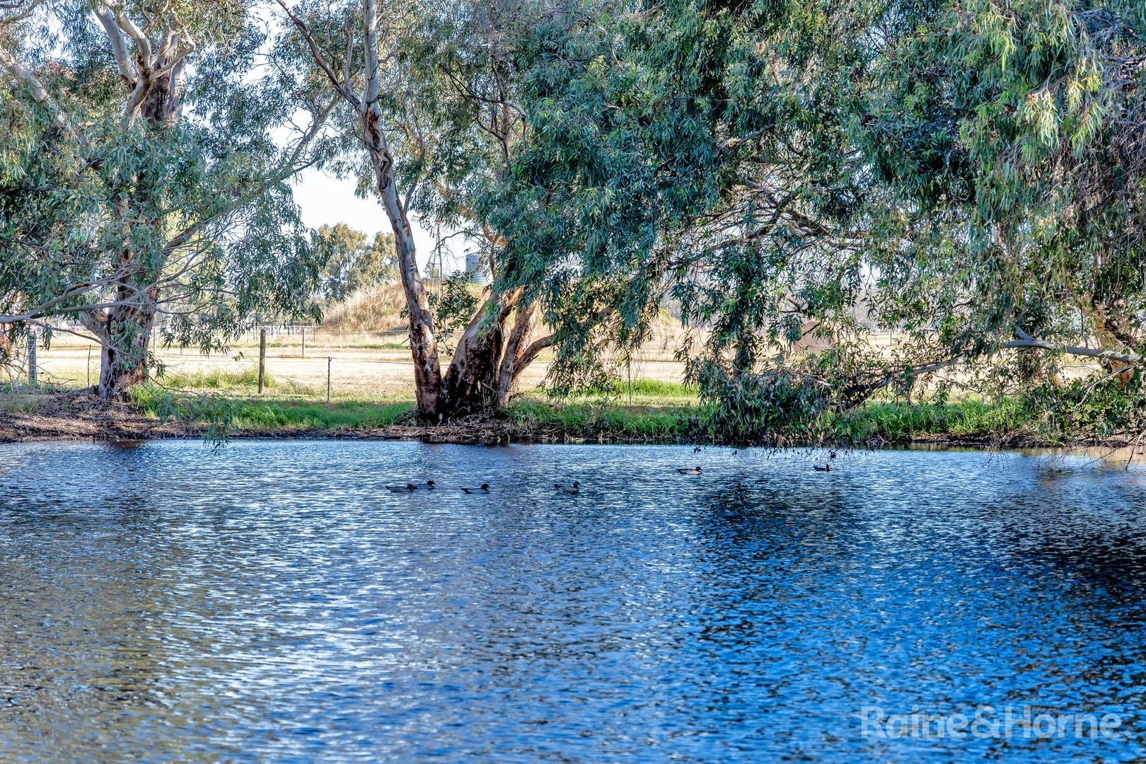 Additional image 29 of 213 Moores Road, West Pinjarra WA 6208