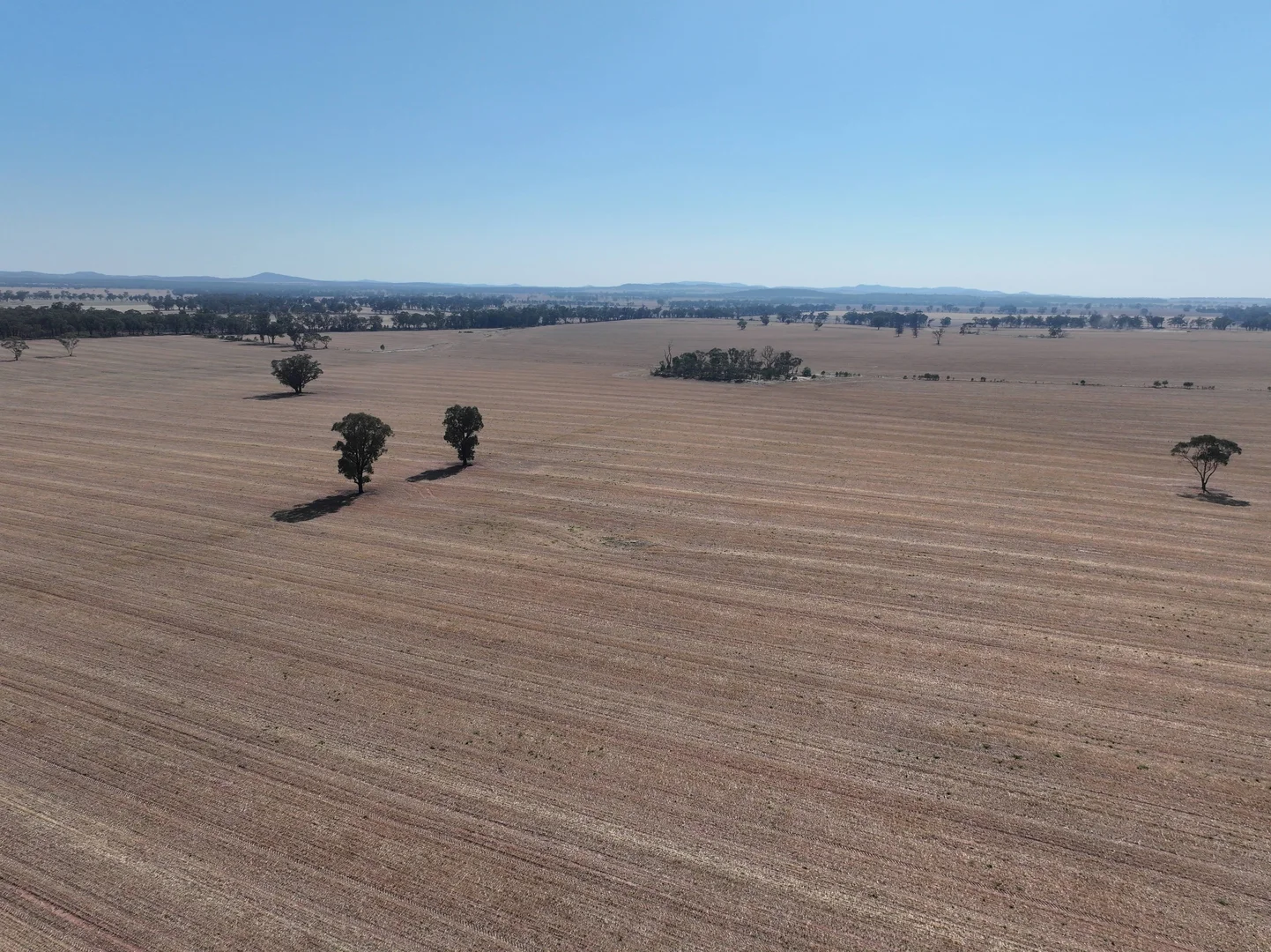 Additional image 10 of 'Wattlevale' 875 Schmidts Lane, Gidginbung NSW 2666