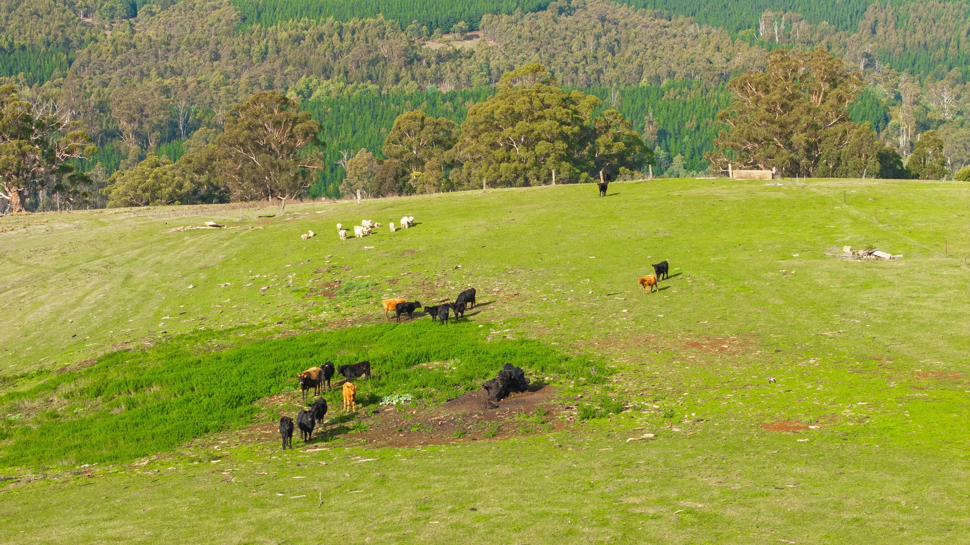 Additional image 7 of 65 Pumps Road, Callignee VIC 3844