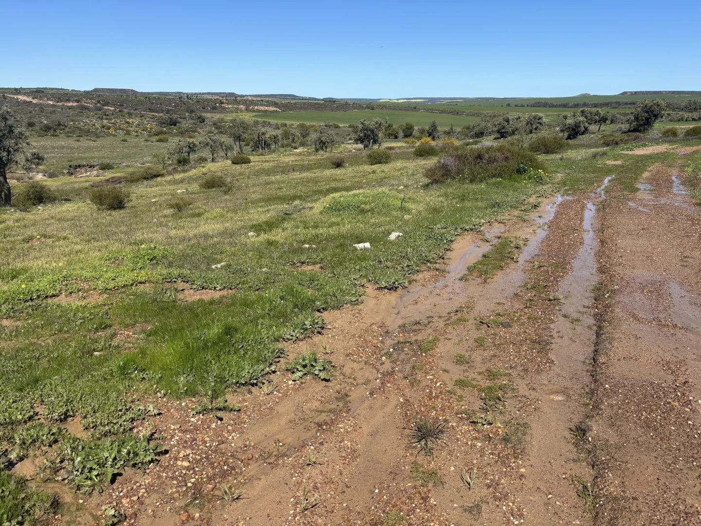 Additional image 12 of Lot 55 Ahern Place, Hickety WA 6532