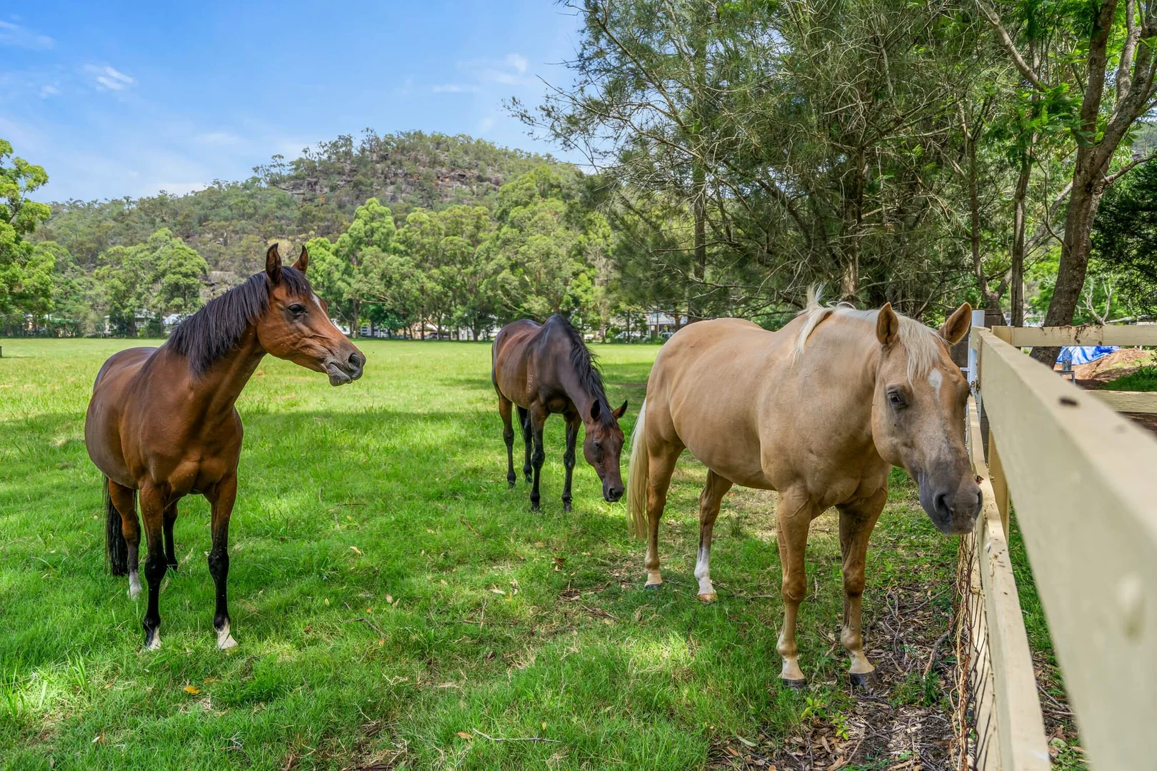 Additional image 10 of 18 Walmsley Rd, Lower Macdonald NSW 2775