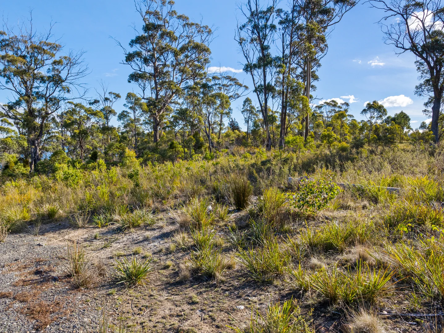 Additional image 29 of 4017 Arthur Highway, Murdunna TAS 7178