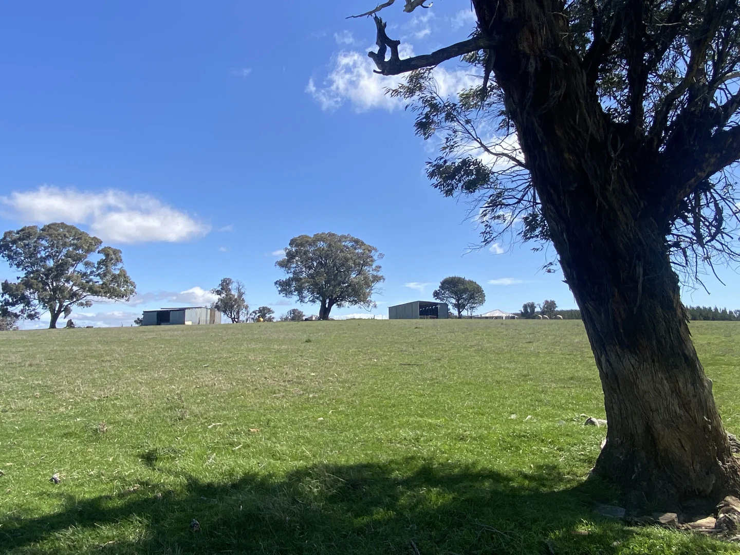 Additional image 8 of 2585 Burraga Road, Burraga NSW 2795