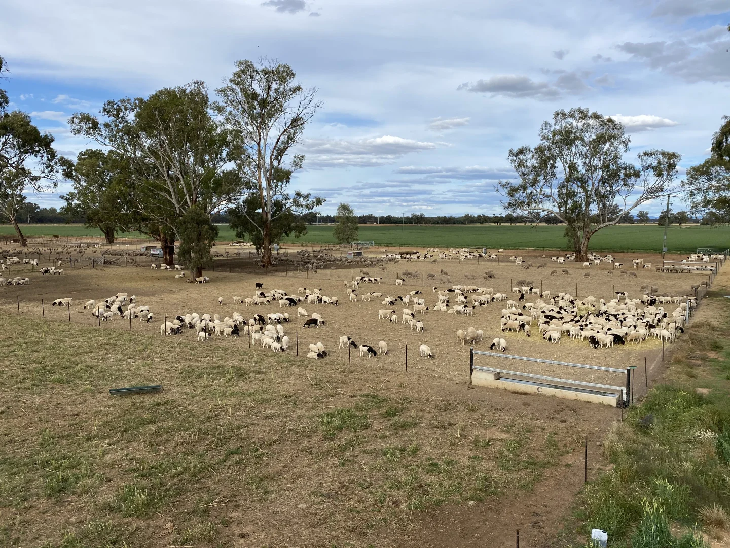 Additional image 42 of 8065 Lachlan Valley Way, Forbes NSW 2871