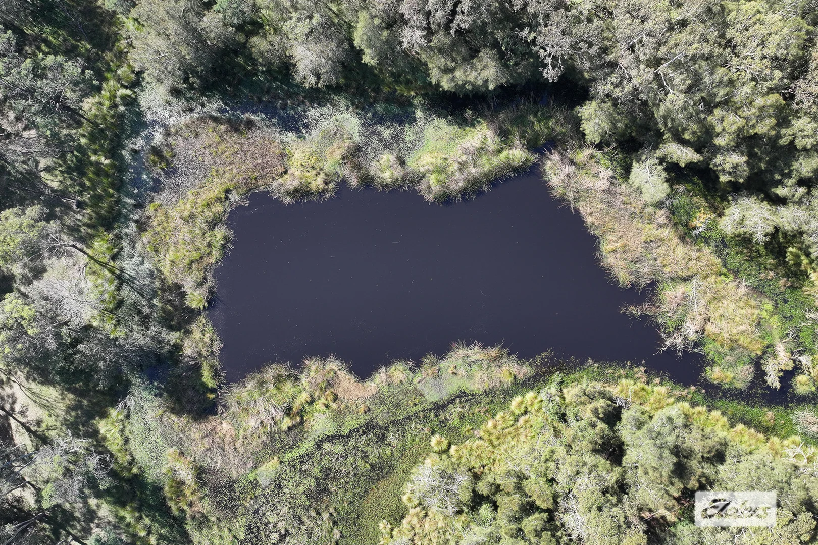 Additional image 9 of 269 Congo Road, Congo NSW 2537