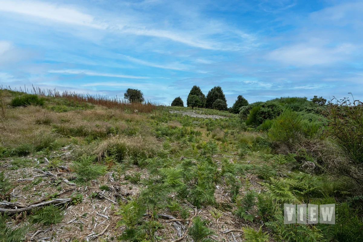 Additional image 4 of 6 Walker Street, Waratah TAS 7321