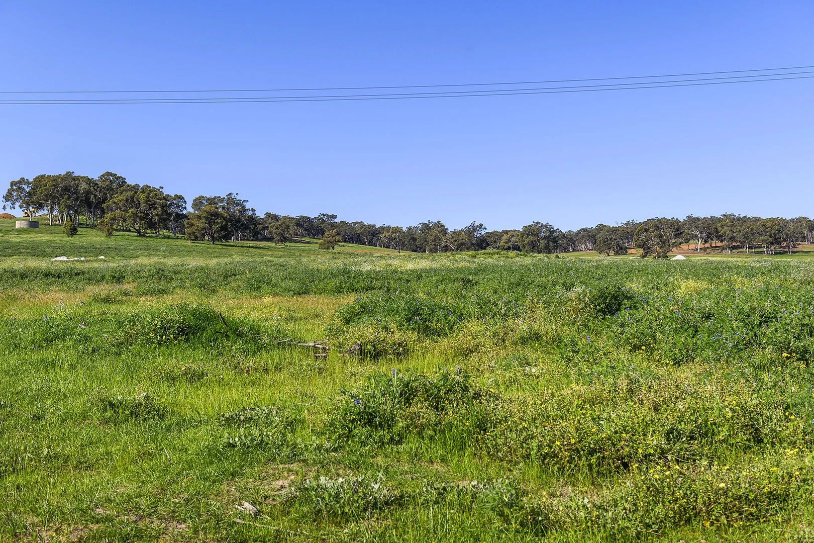 Additional image 15 of Guernsey Rise, Lower Chittering WA 6084