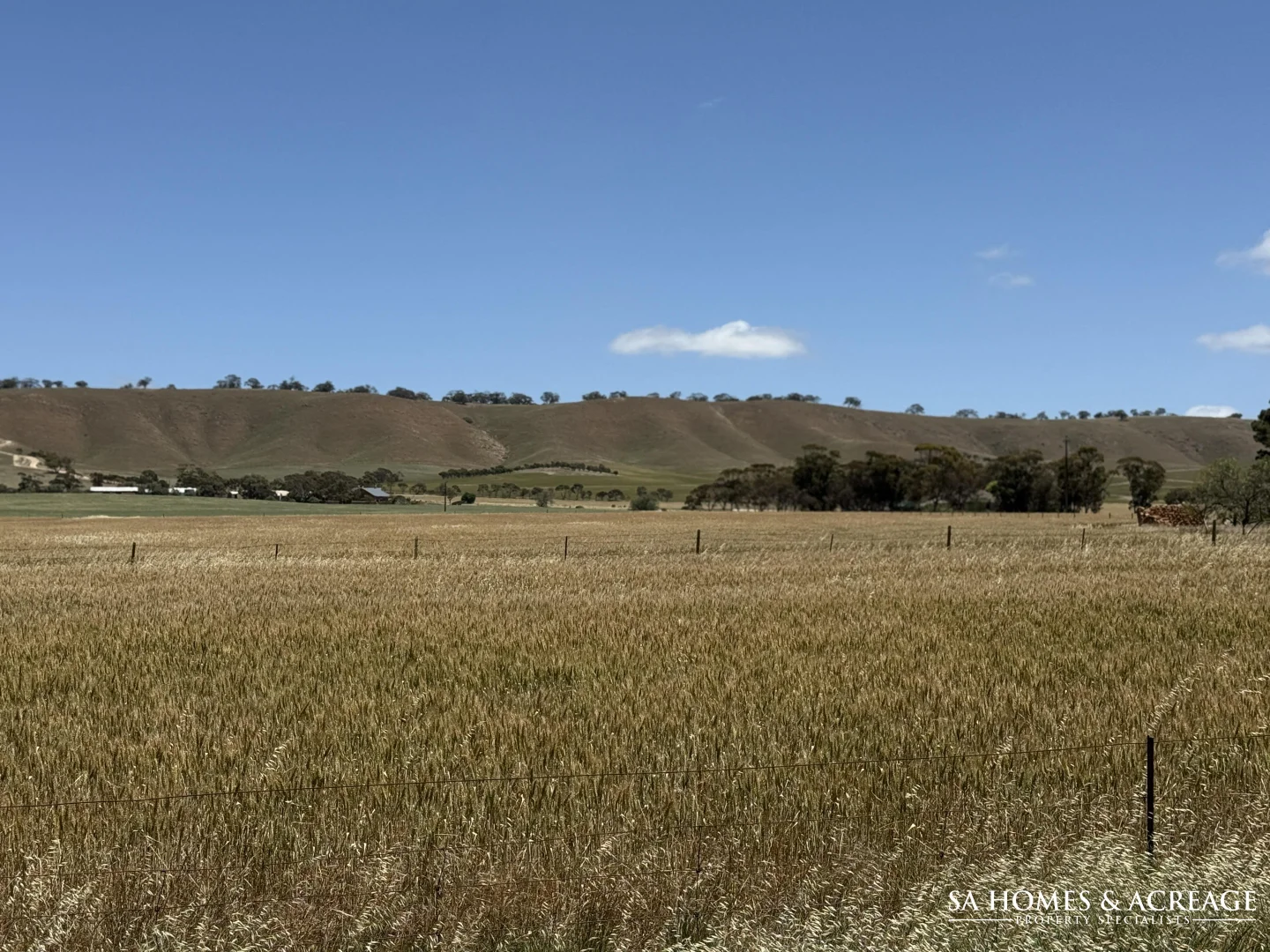 Additional image 16 of Section 407 & 408 Hills Road, Robertstown SA 5381