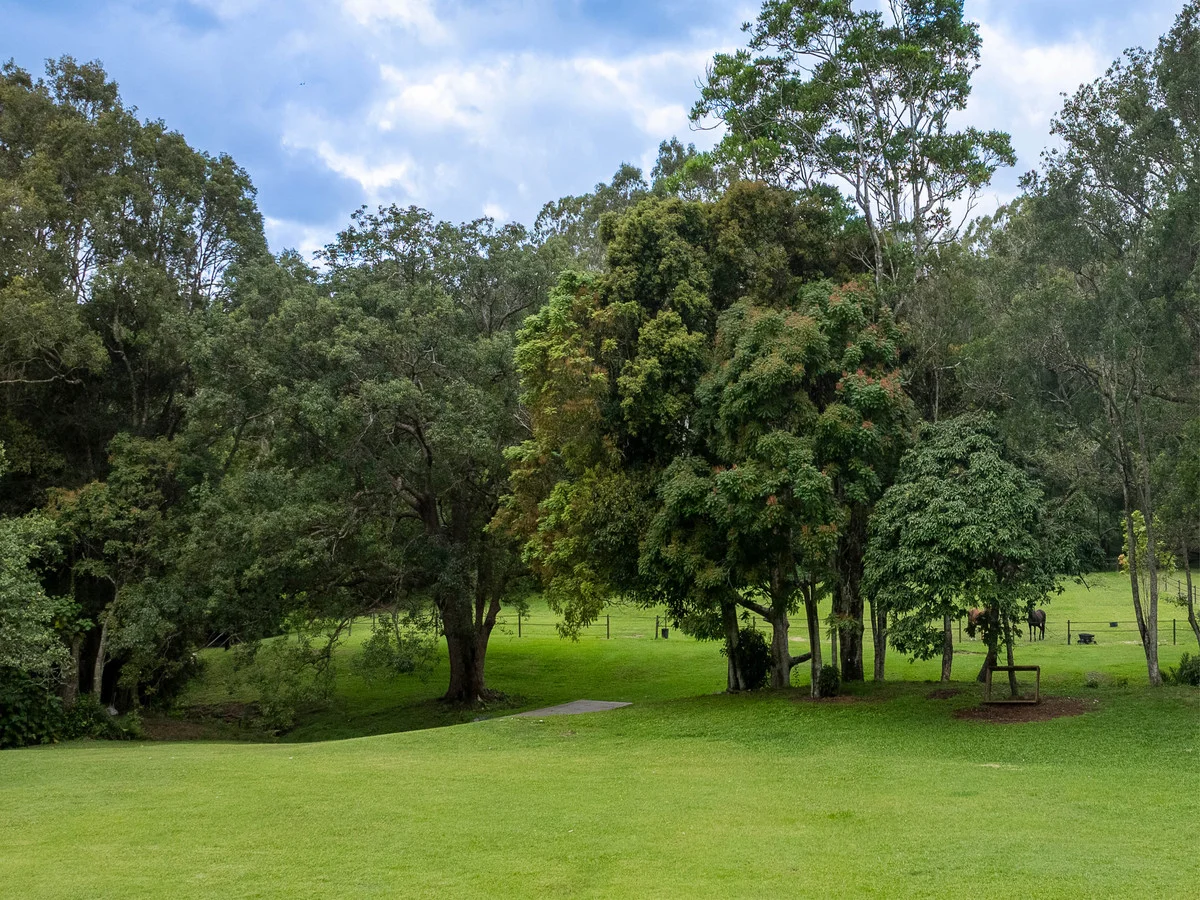 Additional image 16 of 557 Tallebudgera Creek Road, Tallebudgera Valley QLD 4228