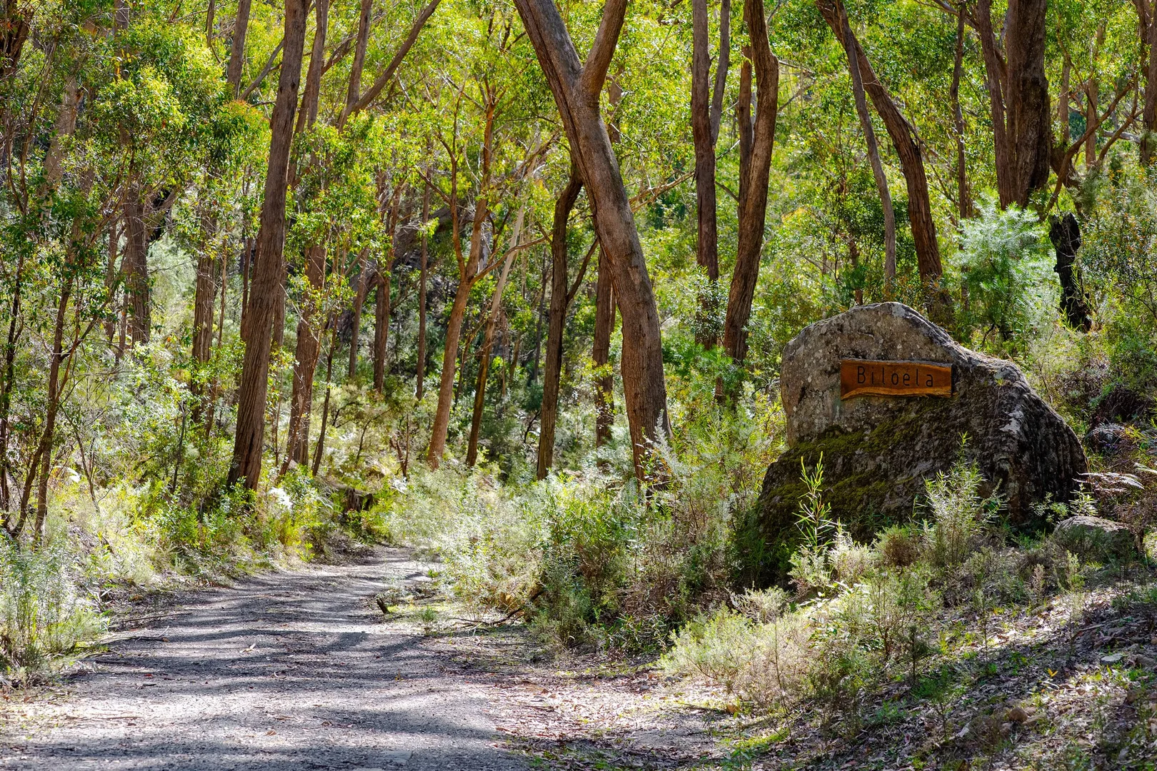 Additional image 2 of Belanglo NSW 2577