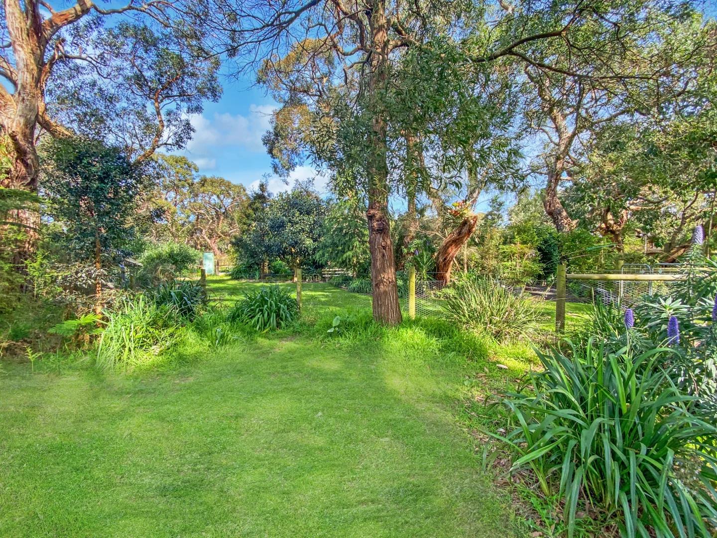 Additional image 13 of 160 Soldiers Road, Fish Creek VIC 3959