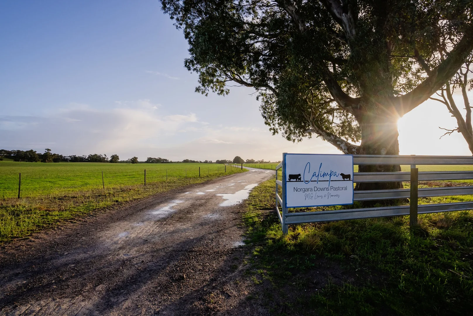 Additional image 7 of 8 Coombe Road, Tintinara SA 5266