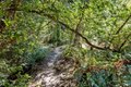 Additional image 30 of 9935 Occidental Rd, Sebastopol, CA, 95472