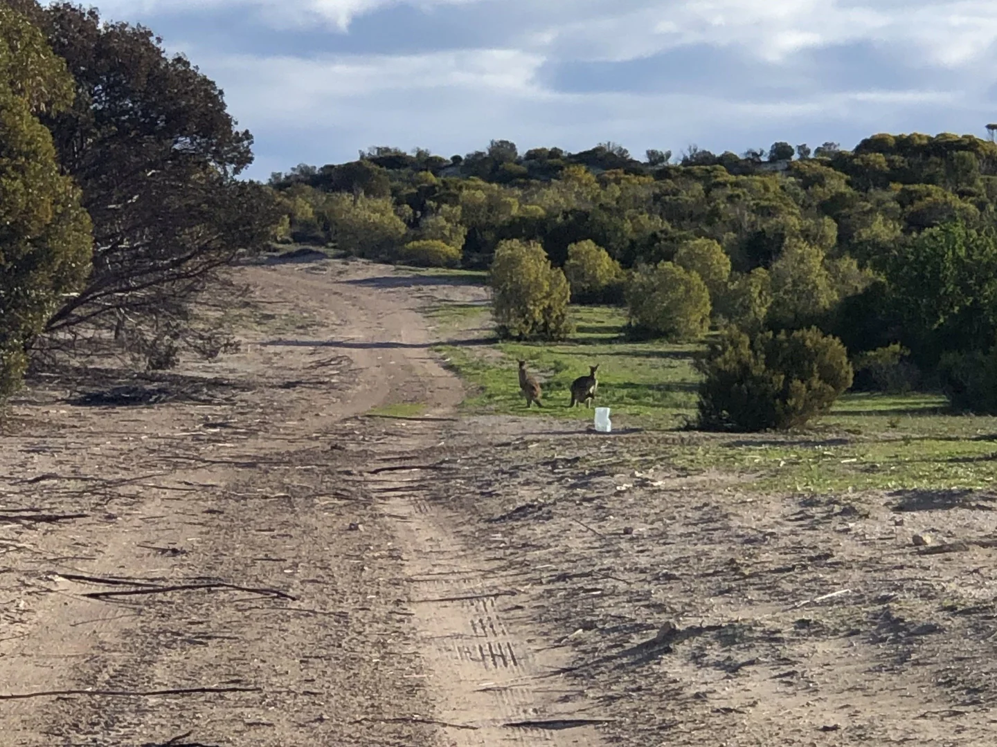 Additional image 16 of Parsons Beach SA 5575