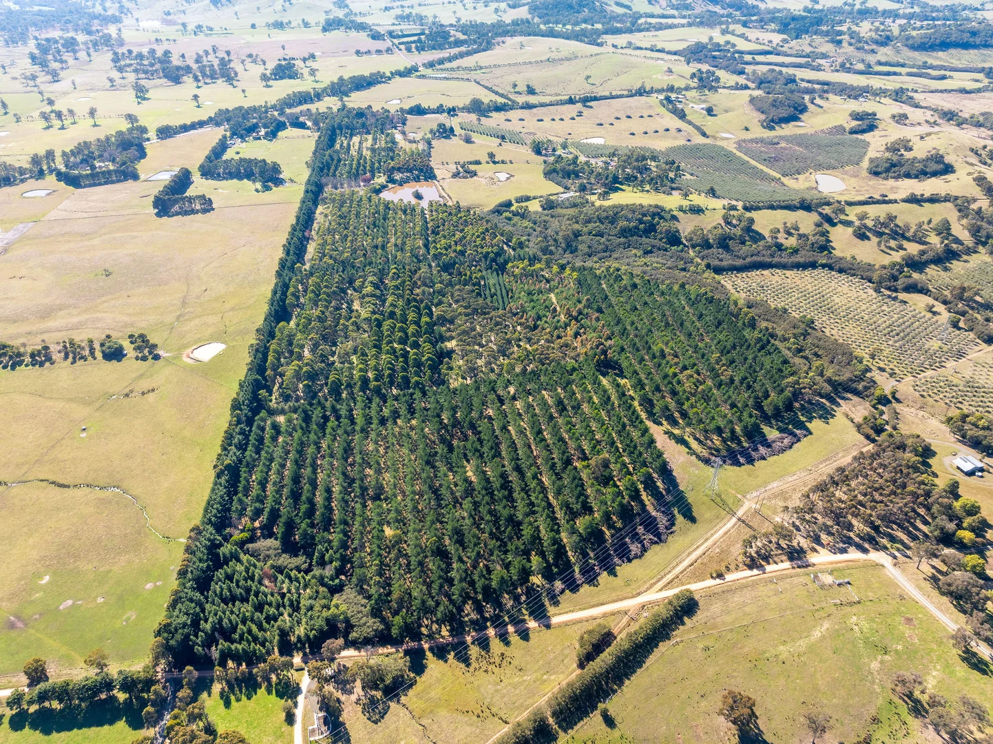 Additional image 17 of 252 Taggerty - Thornton Road, Taggerty VIC 3714