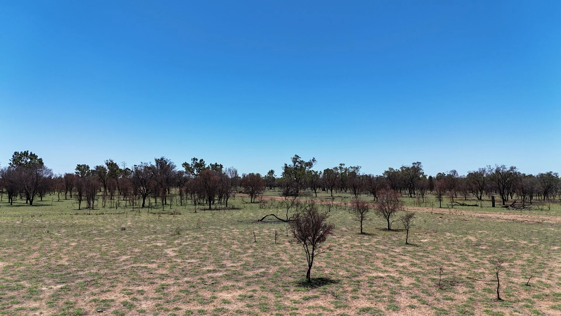 Additional image 22 of 202-410 Wallal Street, Bakers Bend QLD 4470