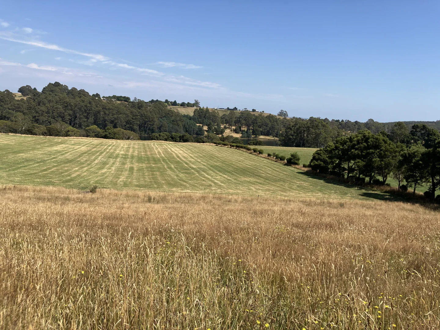 Additional image 26 of 729 Circular Road, Ridgley TAS 7321