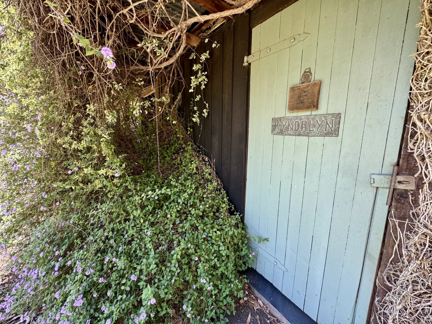 Additional image 29 of "Nullegai" 190 Thompson Creek Road, Scone NSW 2337