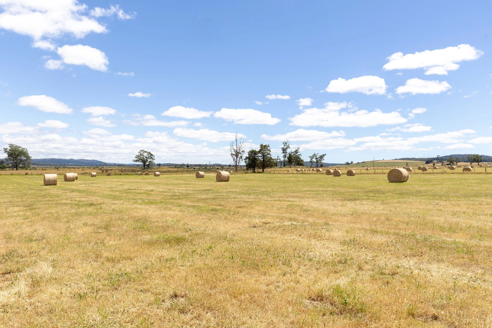 Additional image 19 of 723 Parkham Road, Parkham TAS 7304