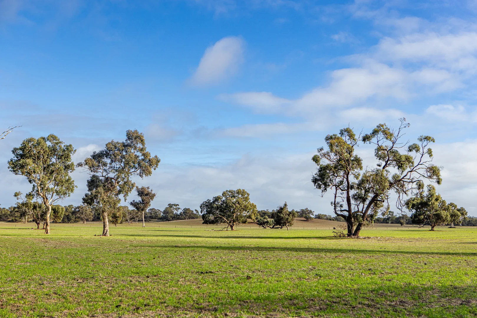 Additional image 13 of 1911 Cadgee Road, Naracoorte SA 5271