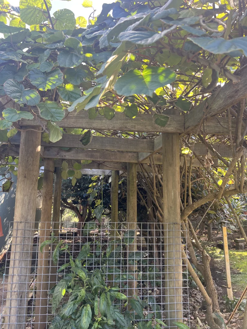 Additional image 43 of 19 Forrest Street, Naracoopa TAS 7256