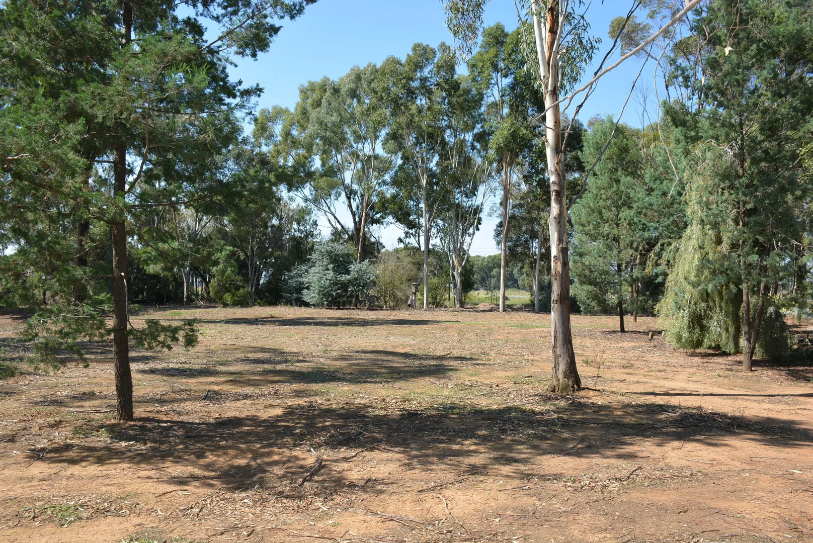 Additional image 4 of 112-114 Nangunia St, Barooga NSW 3644