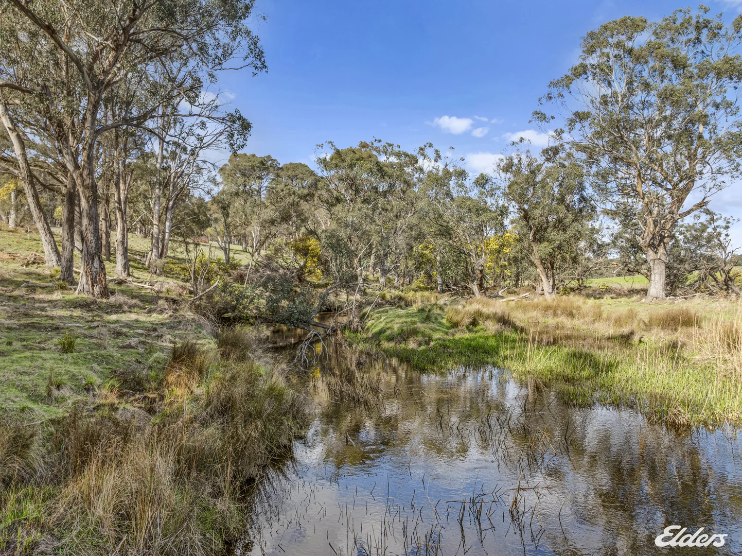 Additional image 15 of 356 Polly McQuinns Road, Strathbogie VIC 3666