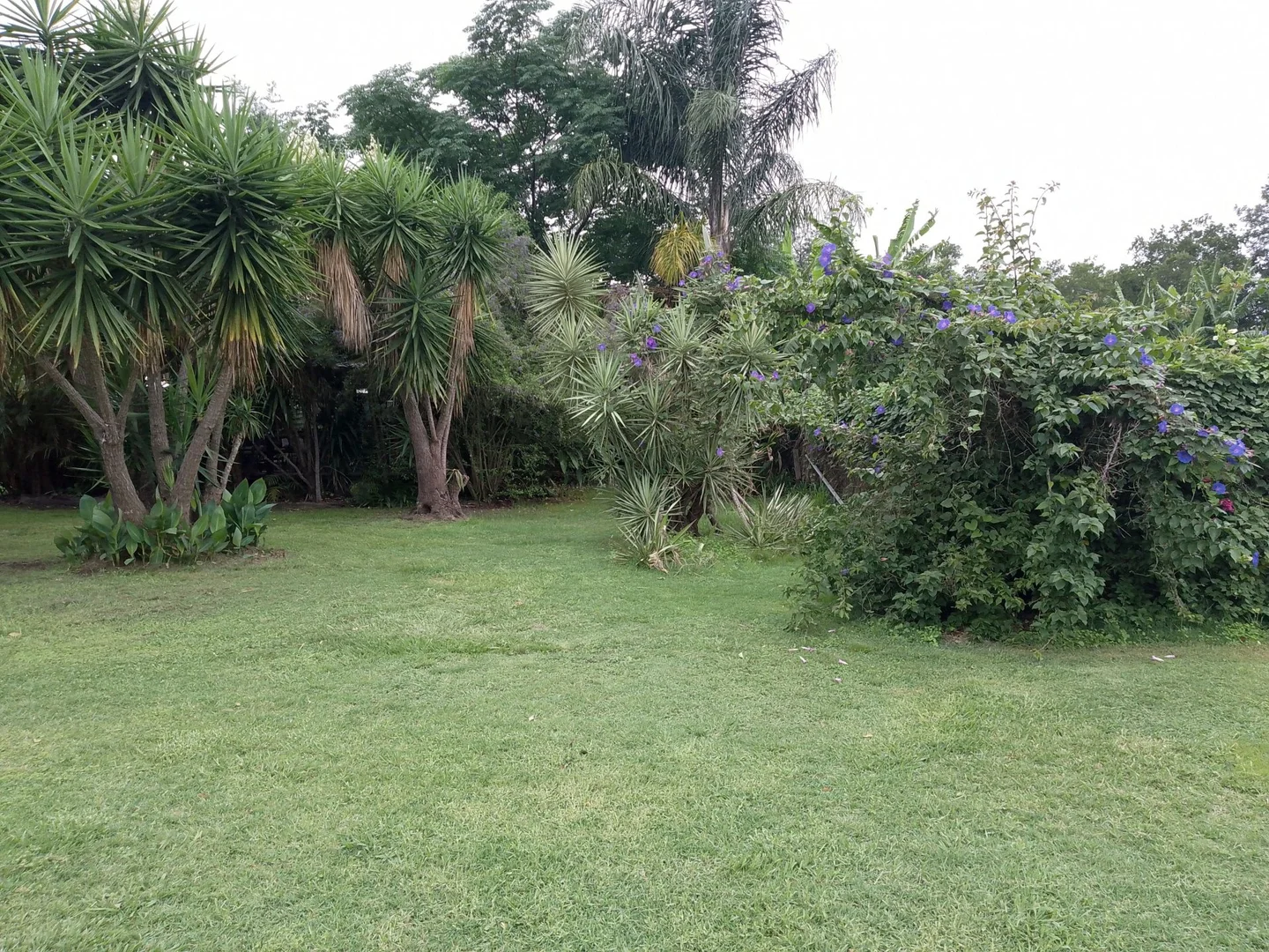 Additional image 3 of Moore QLD 4314