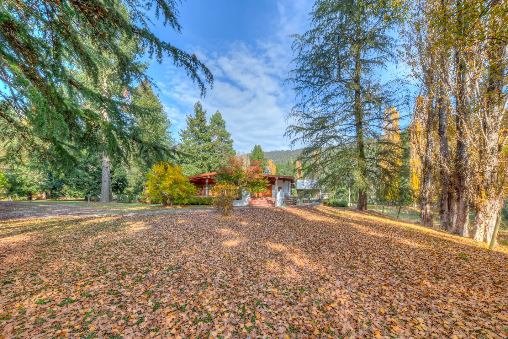 Additional image 23 of 844 Great Alpine Road, Freeburgh VIC 3741