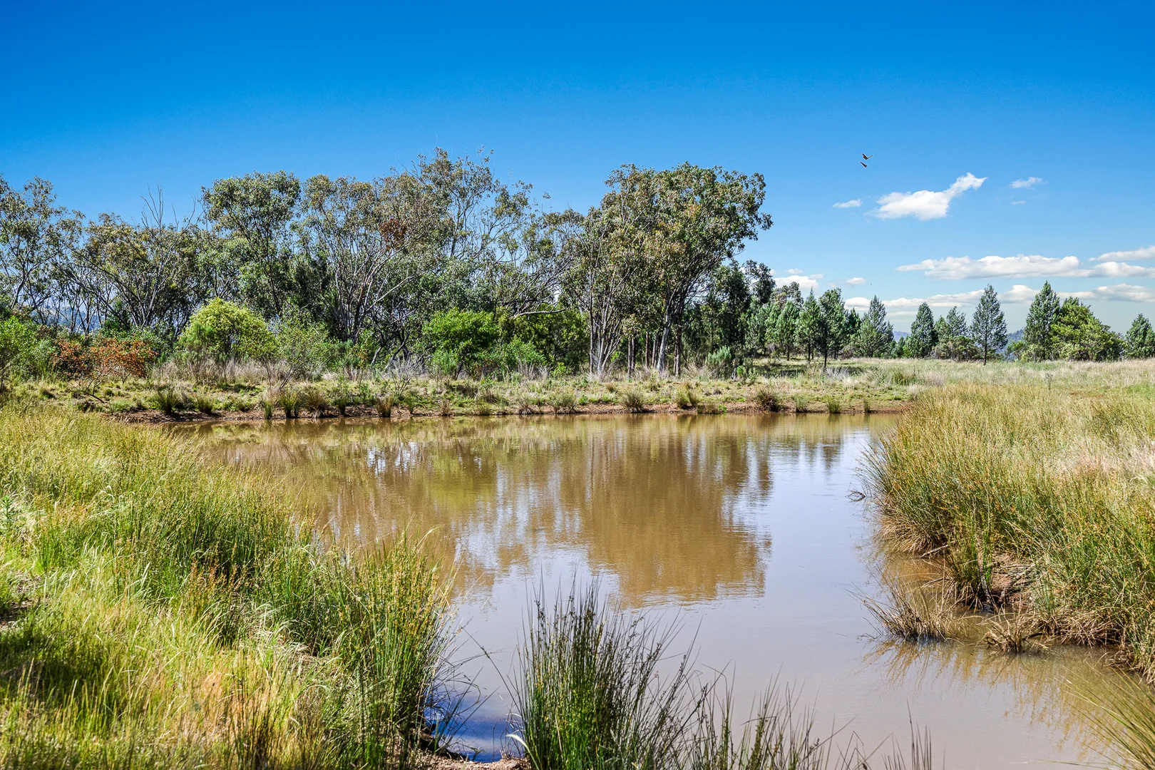 Additional image 27 of "Upper Forest View" 562 Wisemans Arm Road, Attunga NSW 2345