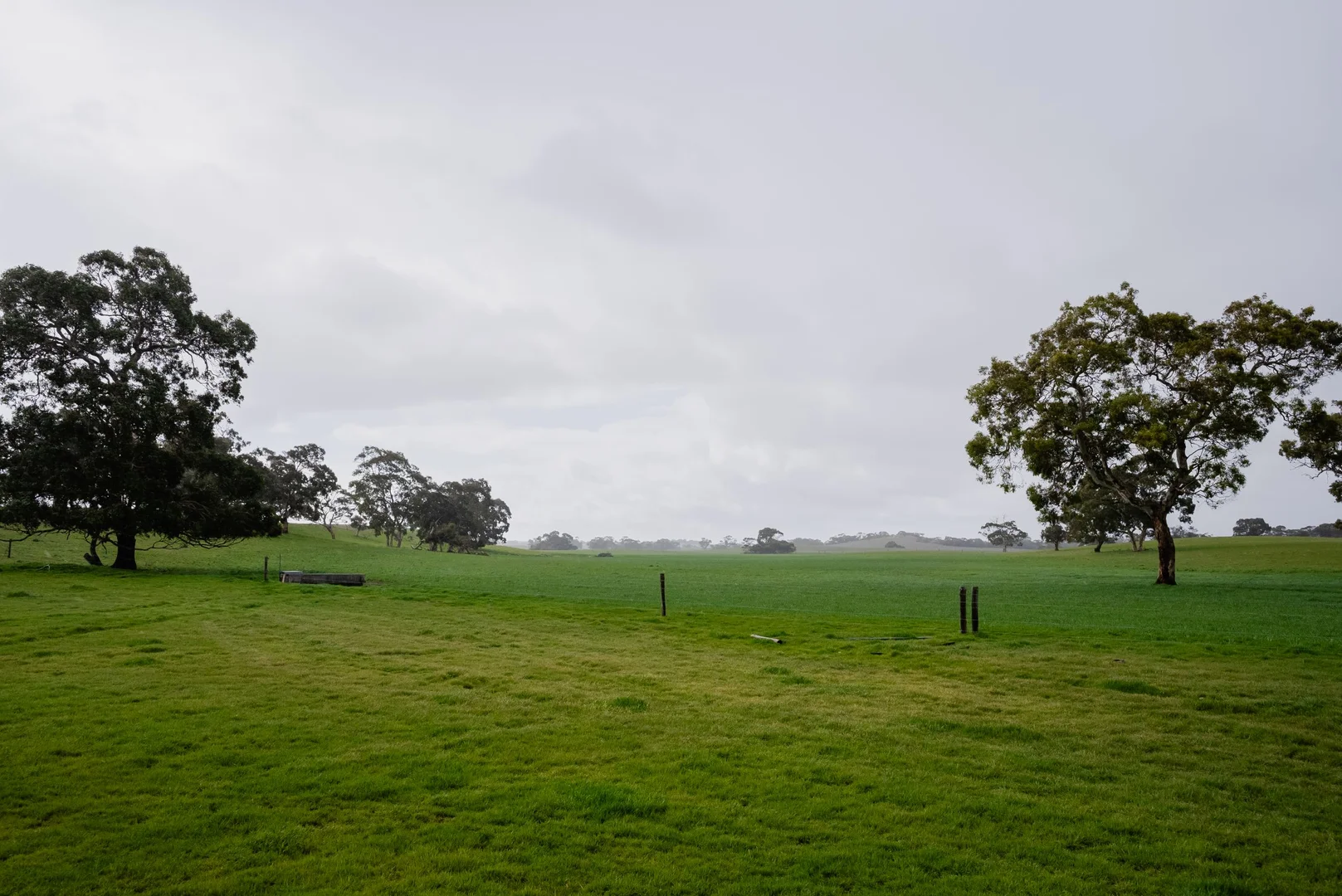 Additional image 5 of 8 Coombe Road, Tintinara SA 5266