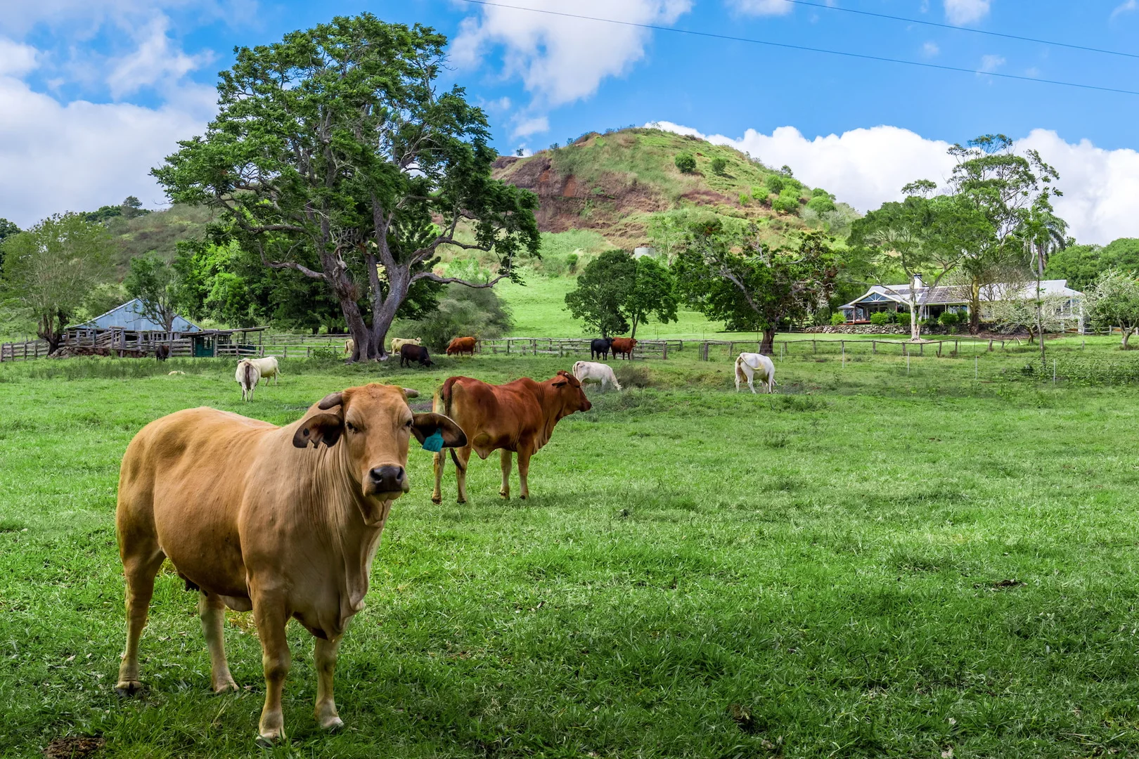 Additional image 16 of East Barron QLD 4883