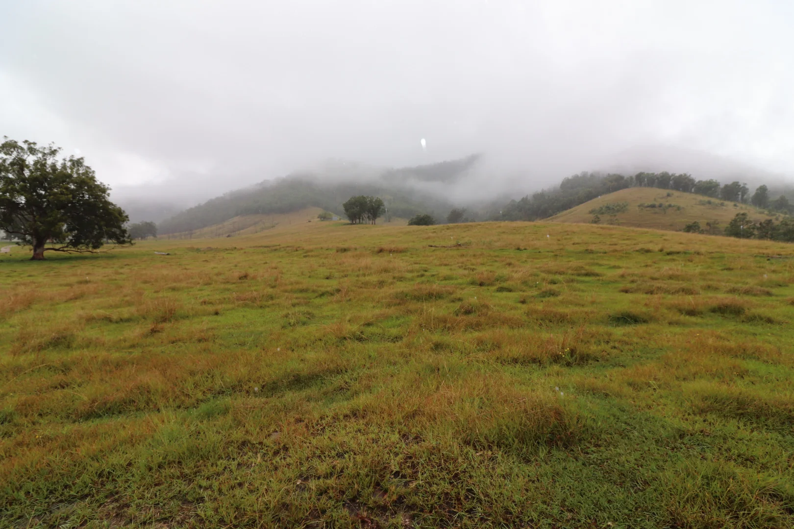 Additional image 26 of 8282 Armidale Road, Lower Creek NSW 2440