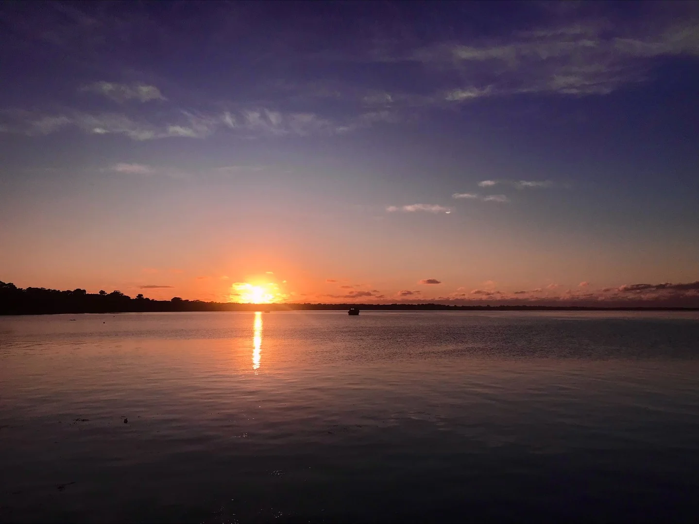 Additional image 3 of 8 West Street, Lady Barron, Lady Barron TAS 7255